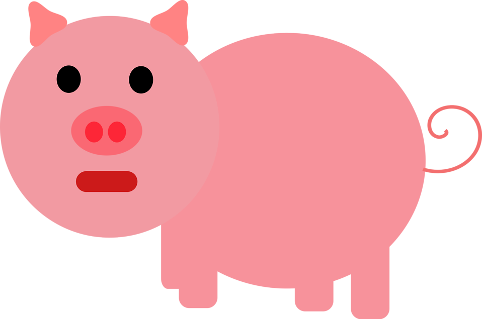 pig